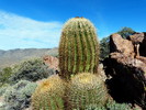 photo thumbnail #14
