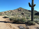 photo thumbnail #15