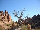 photo thumbnail #6
