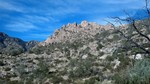 photo thumbnail #14