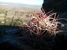 photo thumbnail #1