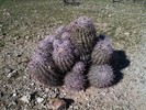 photo thumbnail #10