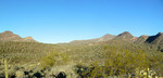 photo thumbnail #4