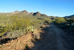 photo thumbnail #5