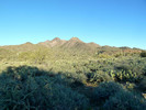 photo thumbnail #6