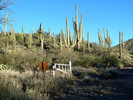 photo thumbnail #7