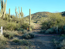 photo thumbnail #8