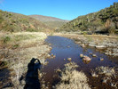 photo thumbnail #11