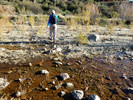 photo thumbnail #12