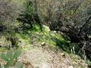 2014-01-06 :1: Cottonwood Spring Loop - Cave Creek :: FLYING_FLIVER