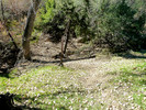 2014-01-06 :1: Cottonwood Spring Loop - Cave Creek :: FLYING_FLIVER