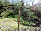 2014-01-06 :1: Cottonwood Spring Loop - Cave Creek :: FLYING_FLIVER