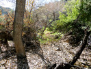 2014-01-06 :1: Cottonwood Spring Loop - Cave Creek :: FLYING_FLIVER