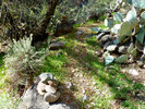 2014-01-06 :1: Cottonwood Spring Loop - Cave Creek :: FLYING_FLIVER