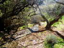 2014-01-06 :1: Cottonwood Spring Loop - Cave Creek :: FLYING_FLIVER