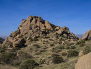 photo thumbnail #3
