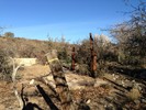 photo thumbnail #6