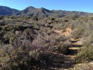 photo thumbnail #11
