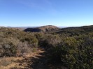 photo thumbnail #12