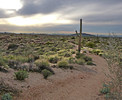 photo thumbnail #5