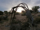 photo thumbnail #8