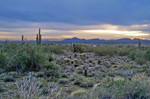 photo thumbnail #2