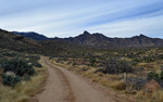 photo thumbnail #1