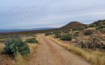 photo thumbnail #8