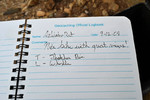 photo thumbnail #12