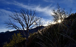 photo thumbnail #15