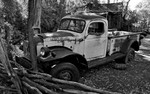 photo thumbnail #3
