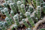 photo thumbnail #14