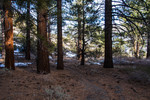 2013-12-30 :2: Reverse Peak Trail :: slegal