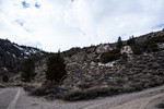 photo thumbnail #1