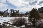 photo thumbnail #8