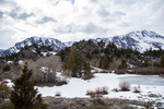 photo thumbnail #9