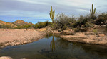 photo thumbnail #15
