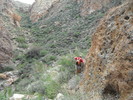 photo thumbnail #13