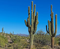 photo thumbnail #7
