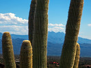 photo thumbnail #10