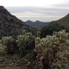 photo thumbnail #2