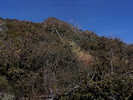 2014-01-10 :1: Peak 7579 - Mazatzal Mountains :: BobP