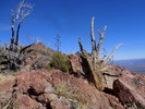 photo thumbnail #6