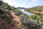 photo thumbnail #6