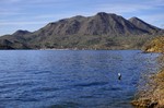 photo thumbnail #12