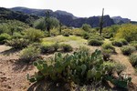 photo thumbnail #13