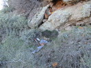 photo thumbnail #2