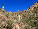 photo thumbnail #2