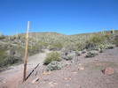photo thumbnail #2
