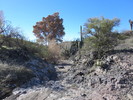 photo thumbnail #4